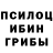 Псилоцибиновые грибы Psilocybine cubensis Zadaron