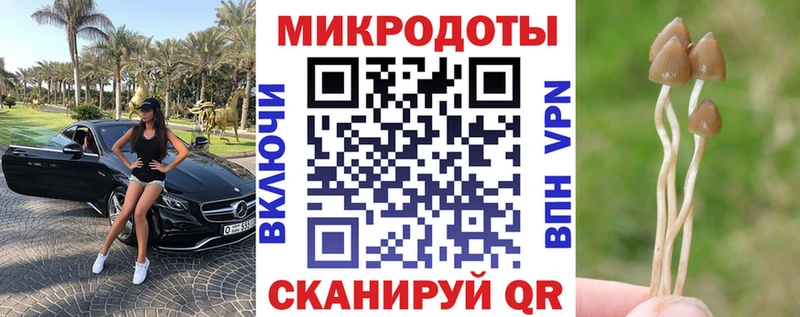Псилоцибиновые грибы Cubensis  Армавир 